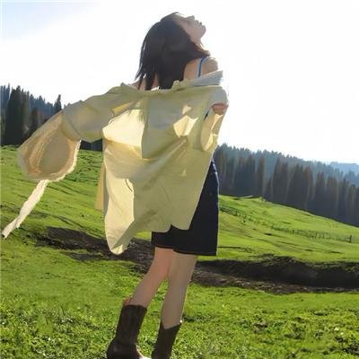 至爱梵高:不可能之梦